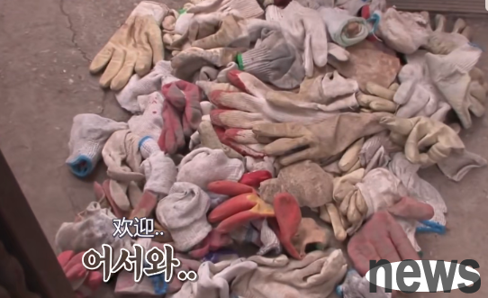 An orange cat stole thousands of gloves, and netizens were moved to tears after learning the truth!