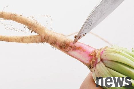菠菜靠近根部1公分處營養價值最高。